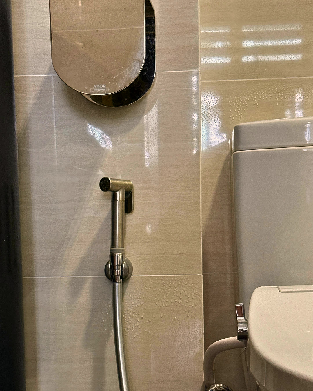 Bathroom with handheld bidet spray and mirrored cabinet.